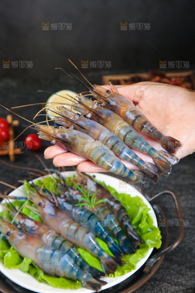 手上捧着罗氏沼虾