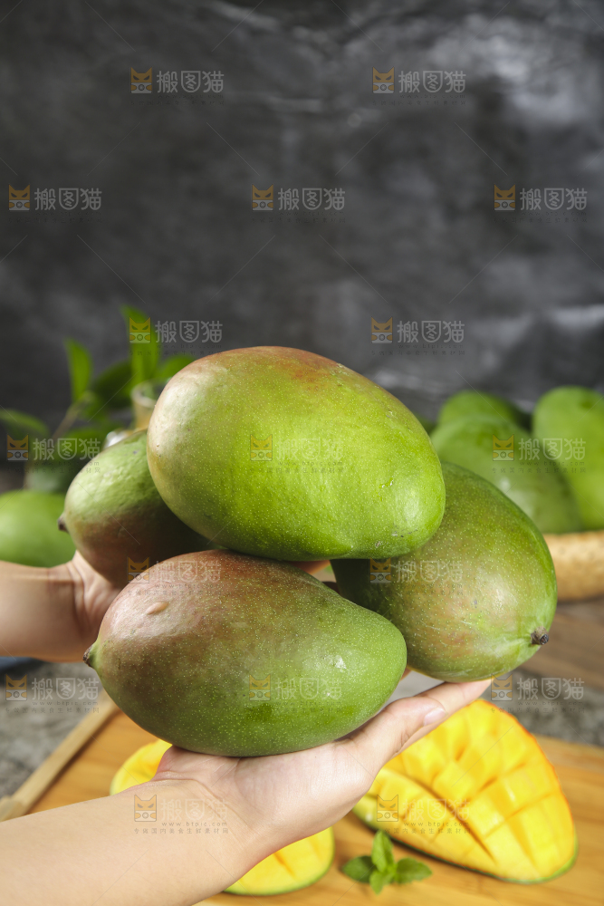手上捧着的凯特大芒果