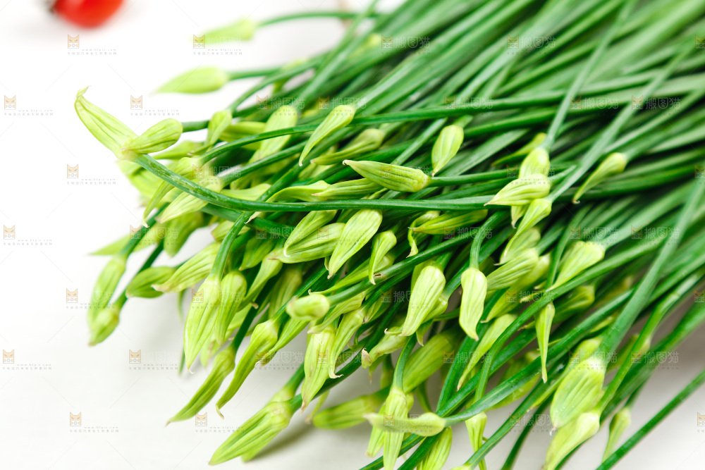 新鲜的韭菜苔