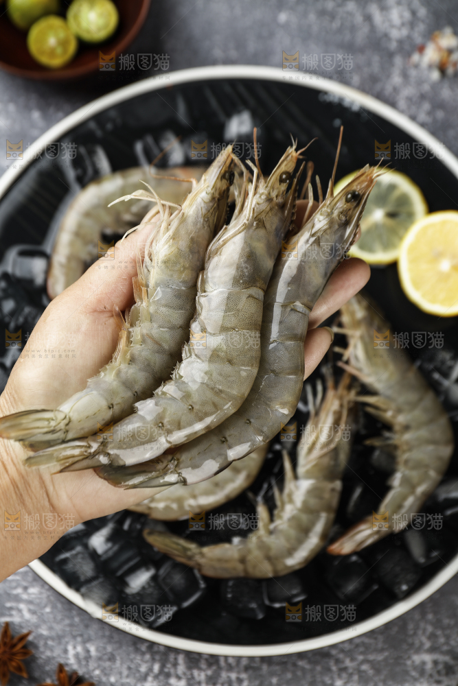 放在手上的大虾