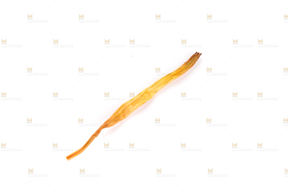 白底上的黄花菜