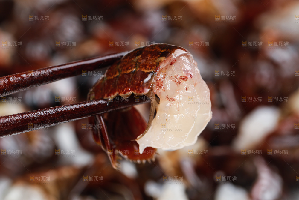 筷子夹着虾尾