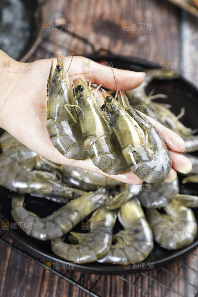 放在手上的对虾