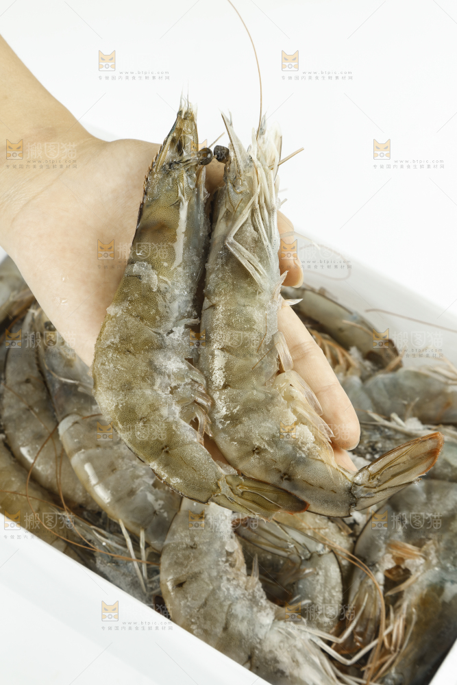 手上拿着的对虾