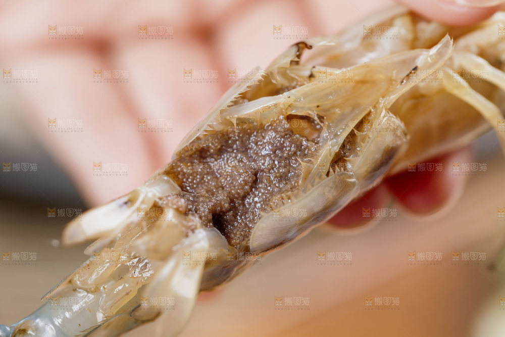 手拿着罗氏虾