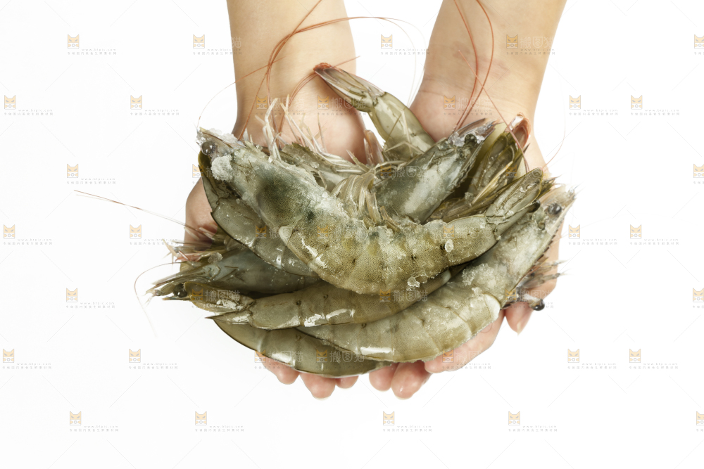 大青虾