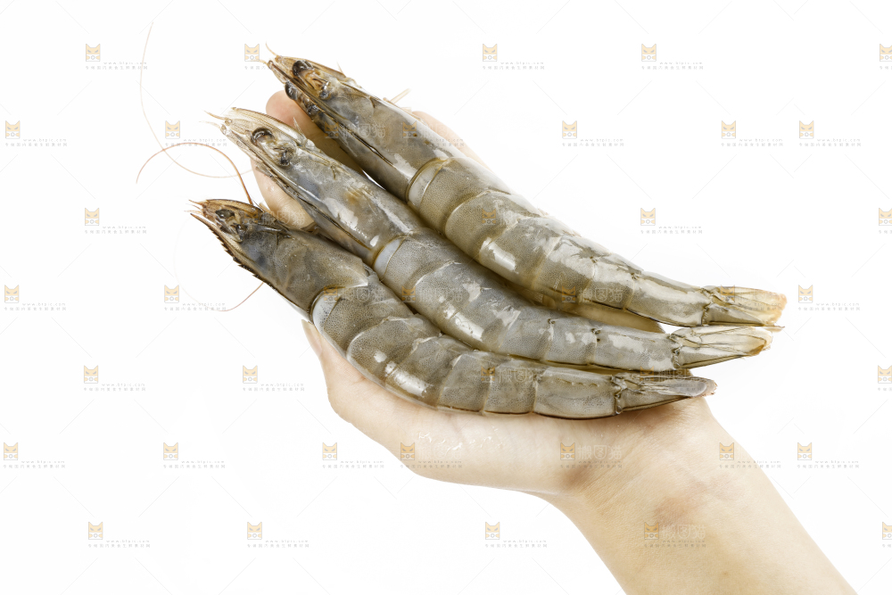 手上拿着新鲜对虾