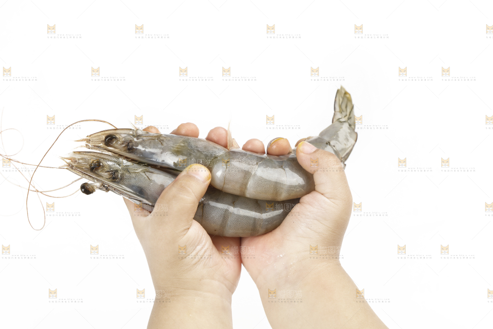 大青虾