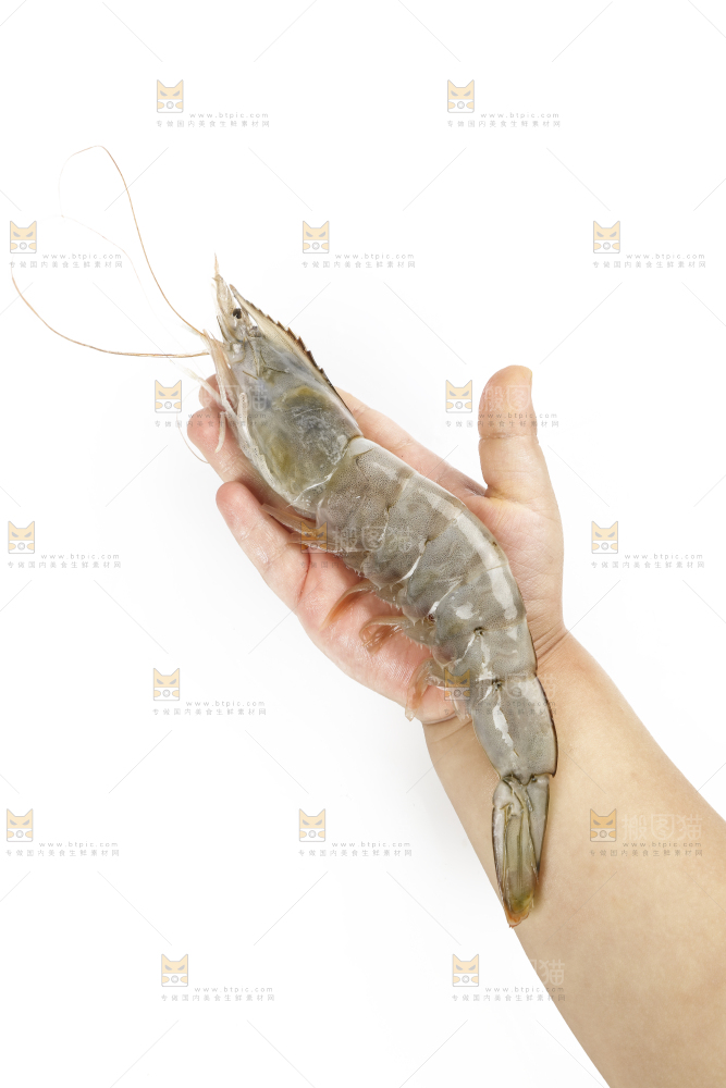 大青虾