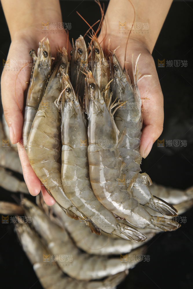 手上拿着南美对虾
