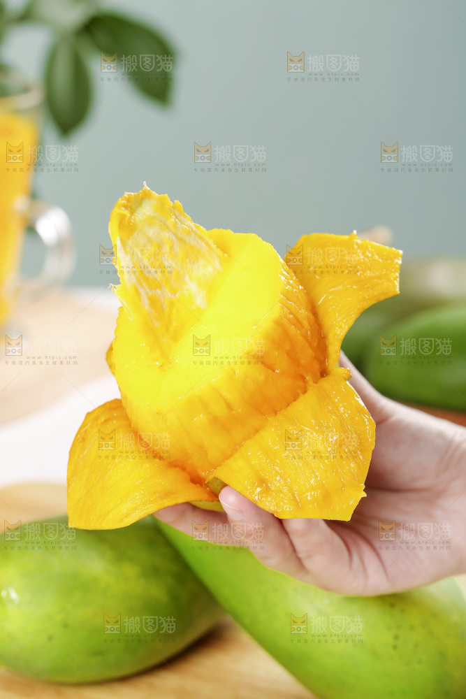 手上拿着金煌芒