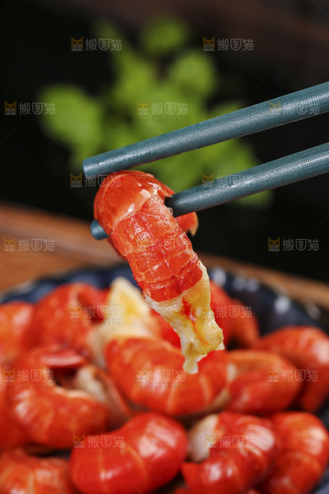 筷子上夹着龙虾尾