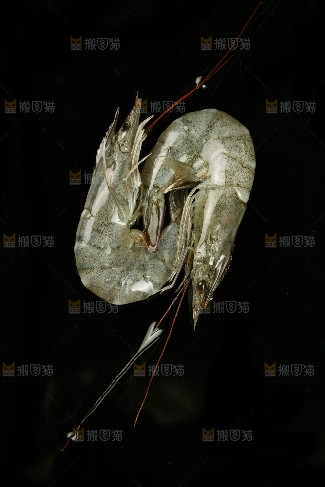 黑底上放着大虾