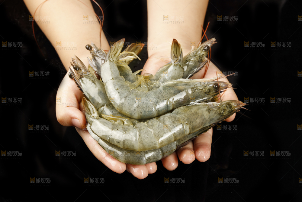 手上捧着大虾