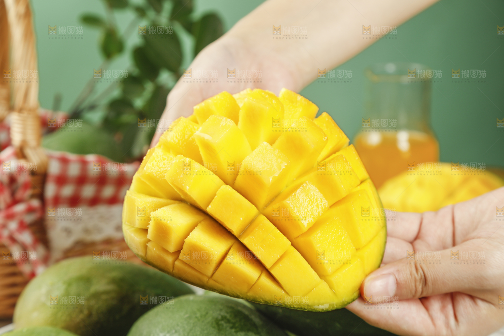 手上拿着凯特芒