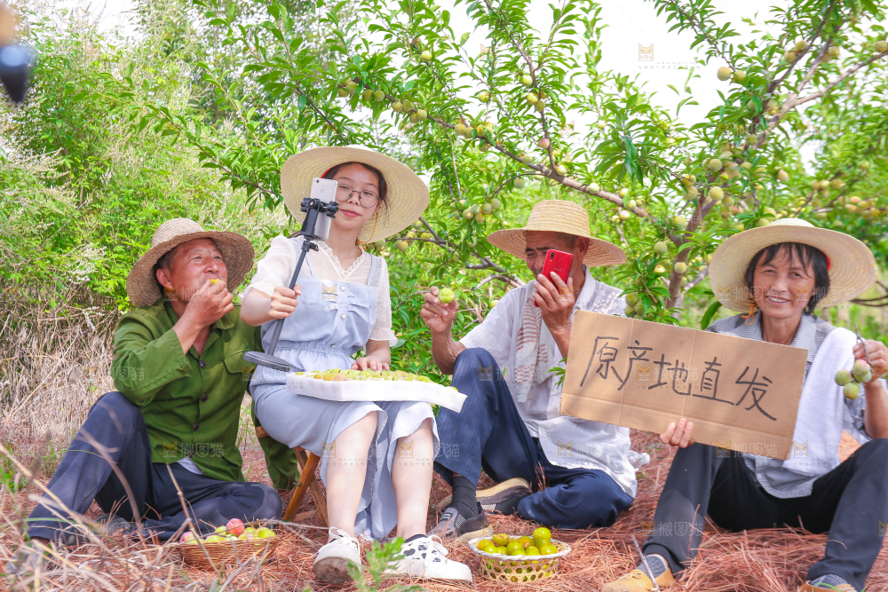 农民正在蜂糖李果园自拍