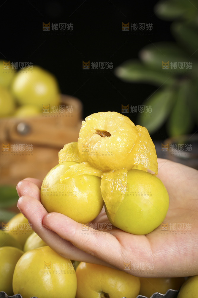 手上拿着的小白杏