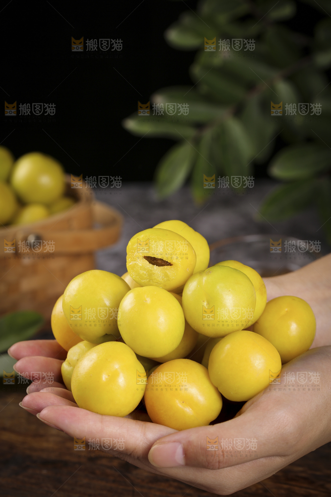手上捧着新疆小白杏