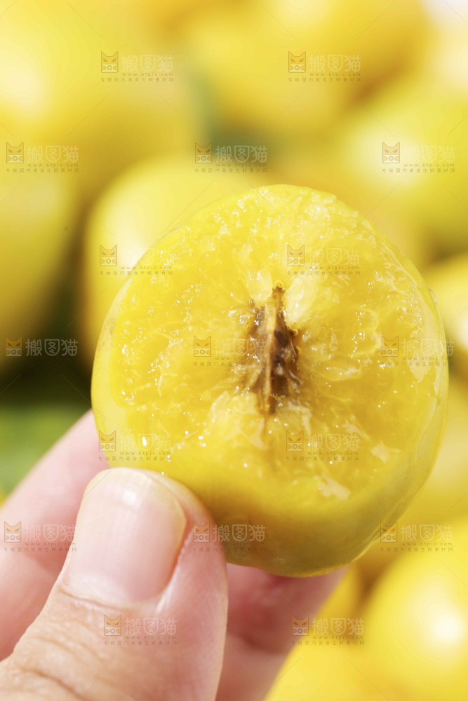 手上拿着的小白杏
