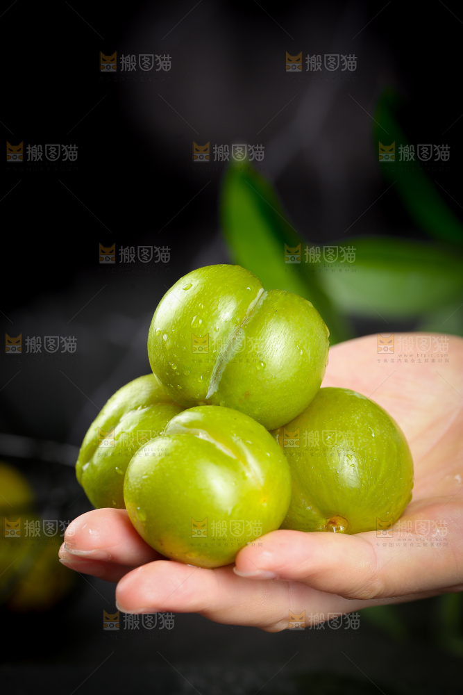 手上捧着蜂糖李