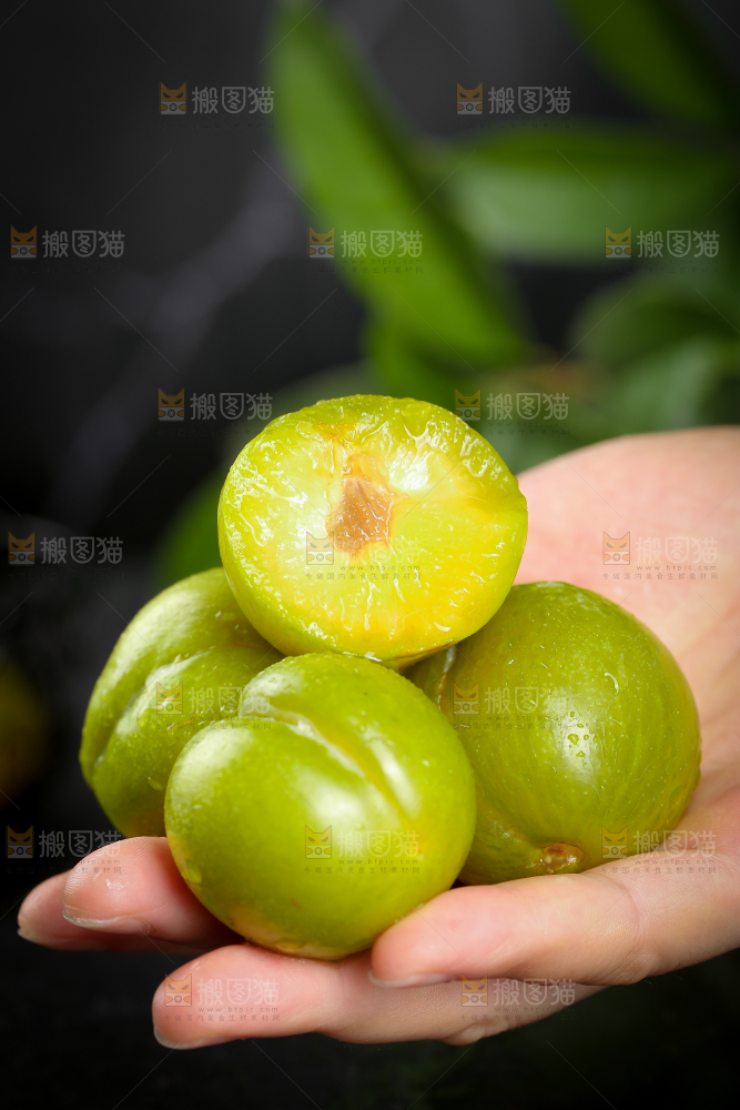 手上捧着蜂糖李
