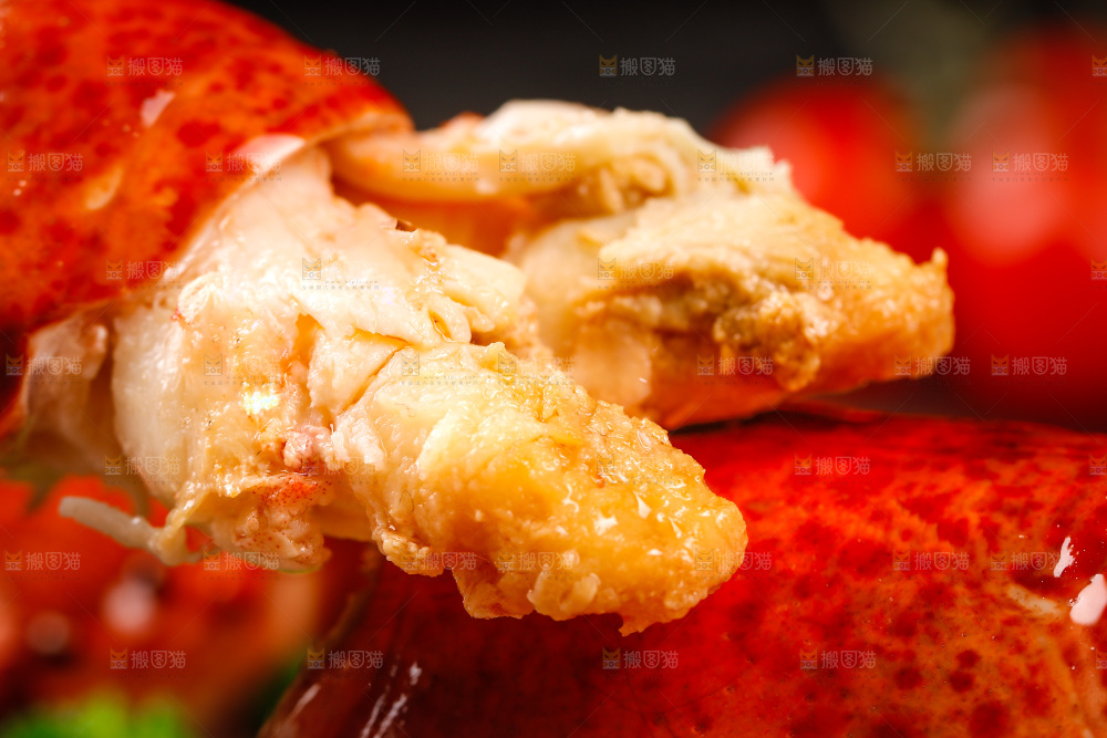 波士顿大龙虾肉