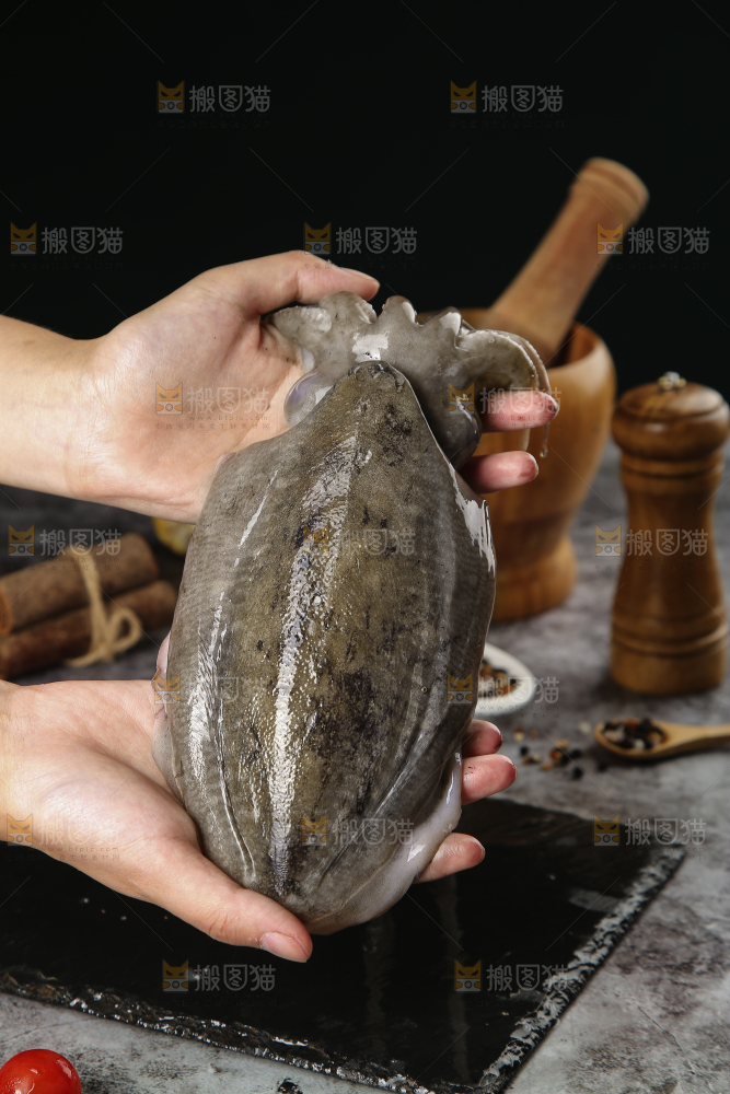 手上拿着墨鱼