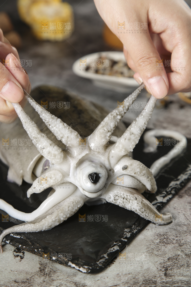 手上拿着墨鱼