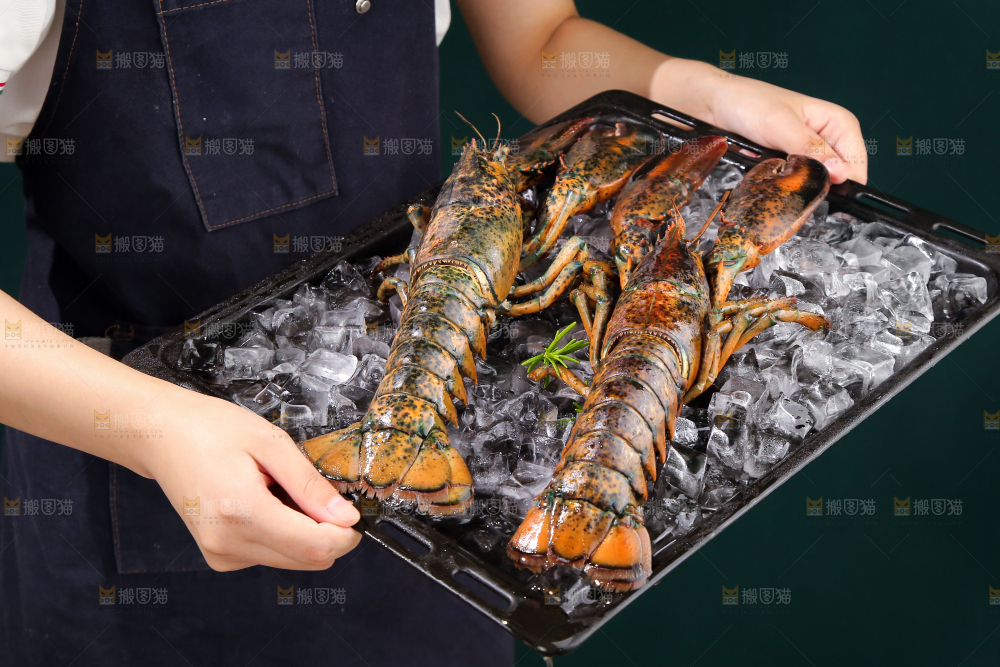 手上捧着的澳洲龙虾