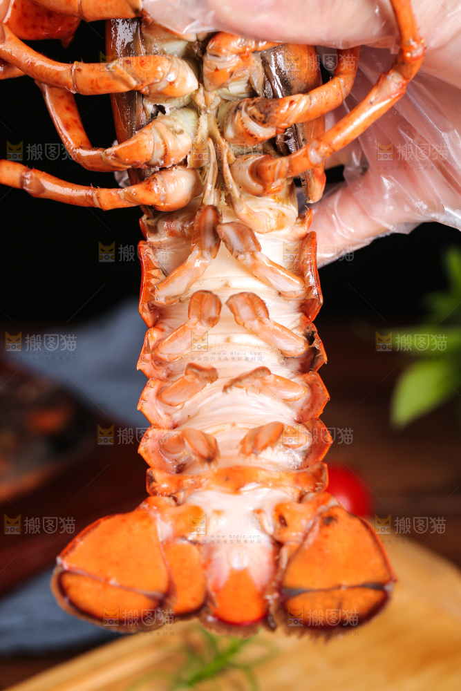 手上捧着波士顿大龙虾