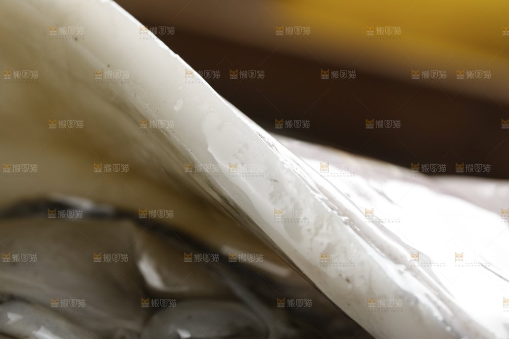 新鲜的野生大墨鱼
