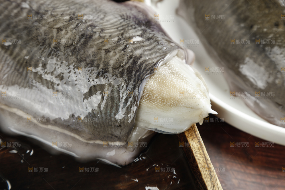 深底上放着北海墨鱼