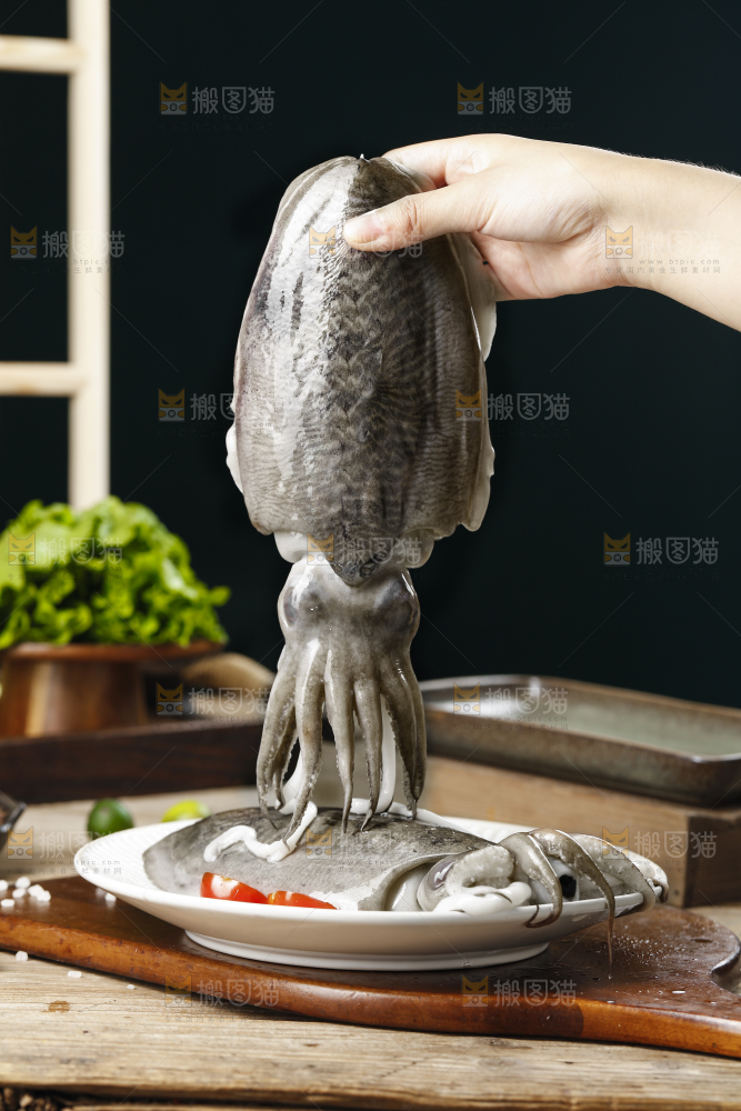 手上拿着的大墨鱼