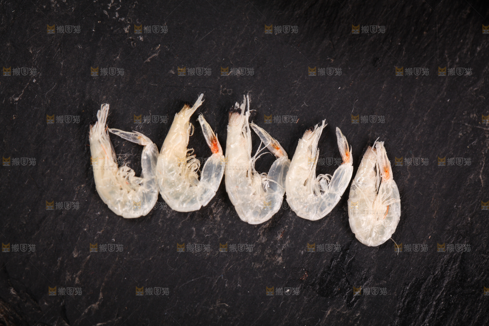 黑底上盐虾皮