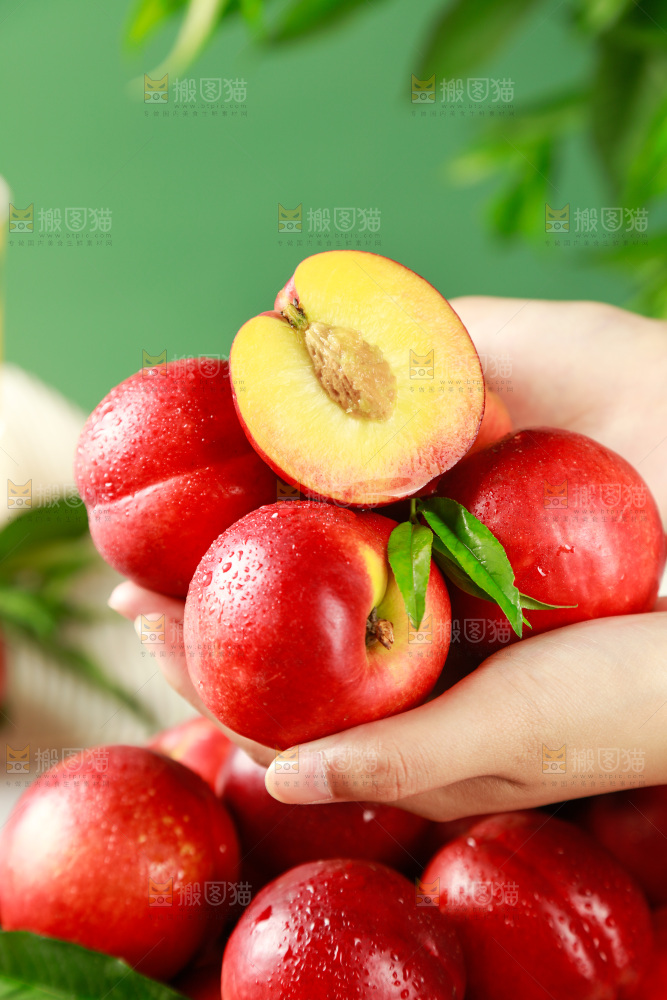 手上捧着红油桃