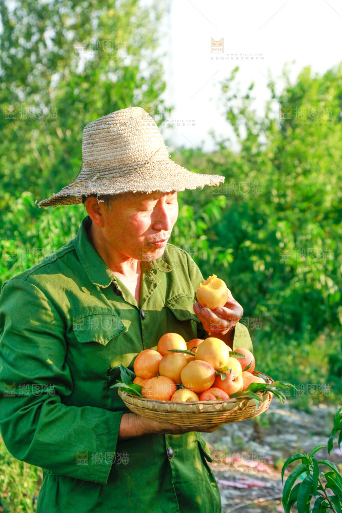 农民正在吃黄油桃