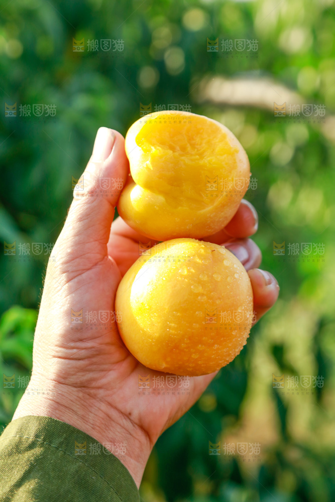 手上拿着黄油桃