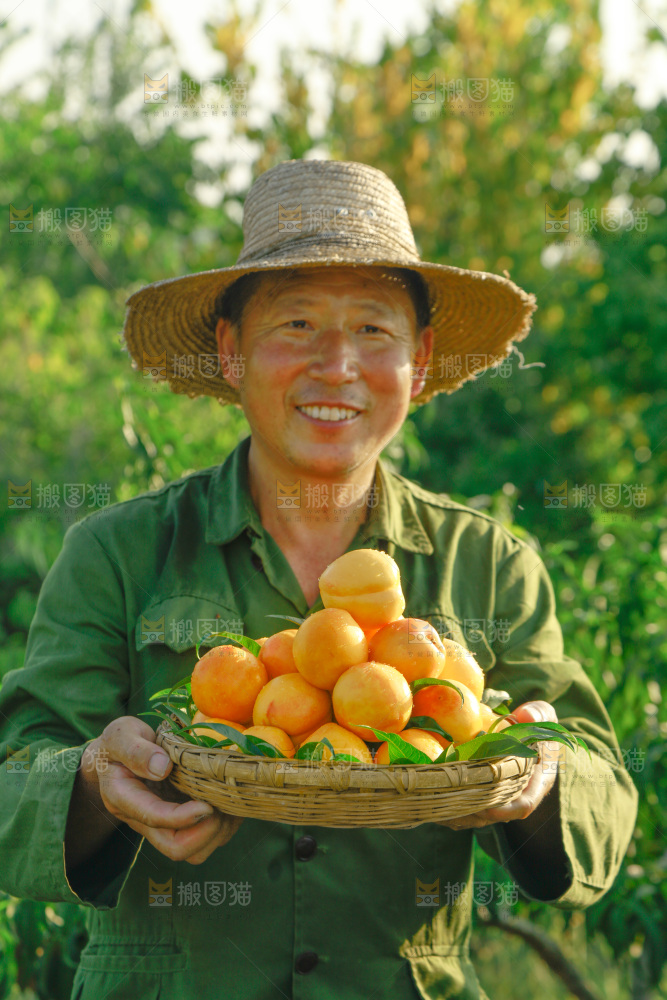 农民手上端着一筐黄油桃
