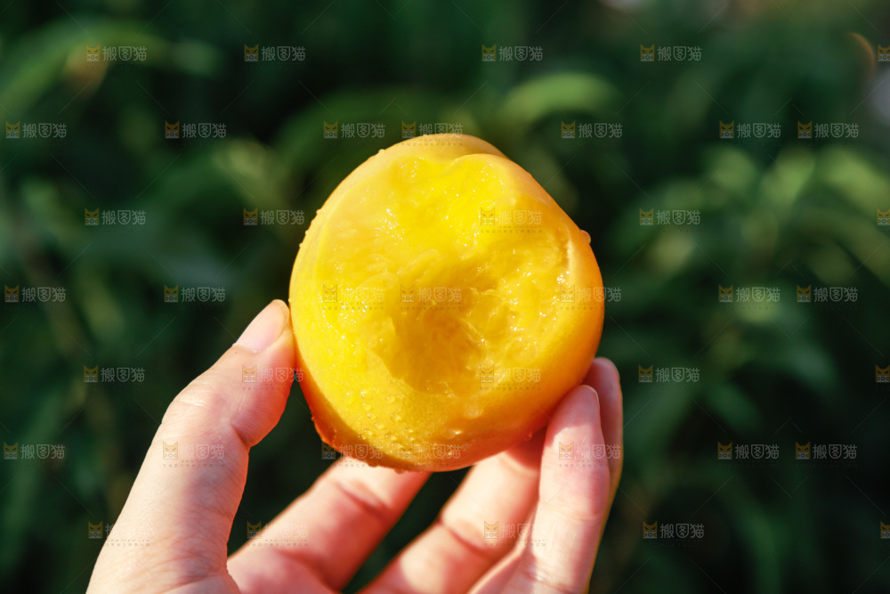 手上拿着黄油桃
