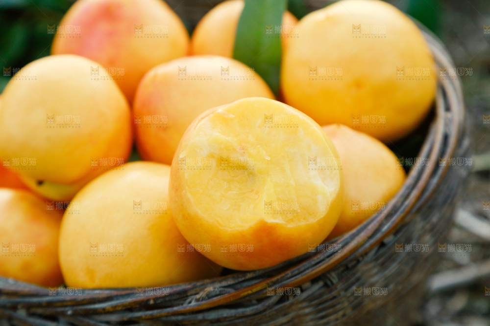 篮子里放着黄油桃