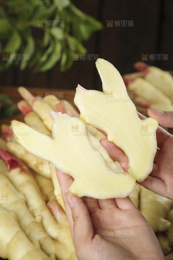 手上拿着红芽嫩姜