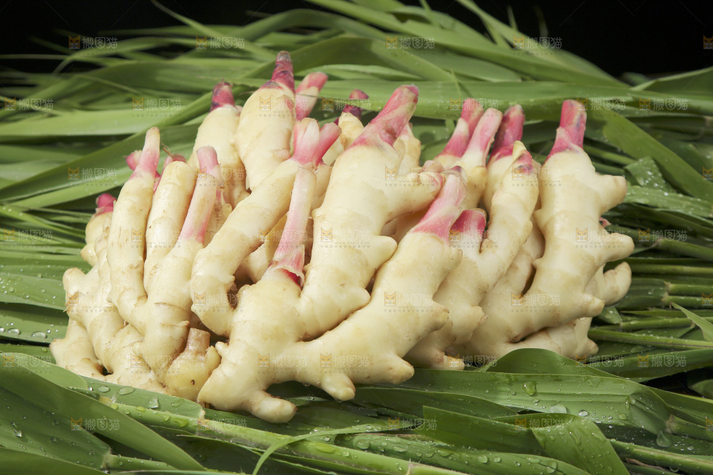 绿草上放着一堆红芽嫩姜