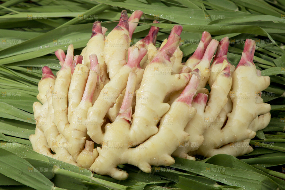 绿草上放着一堆红芽嫩姜