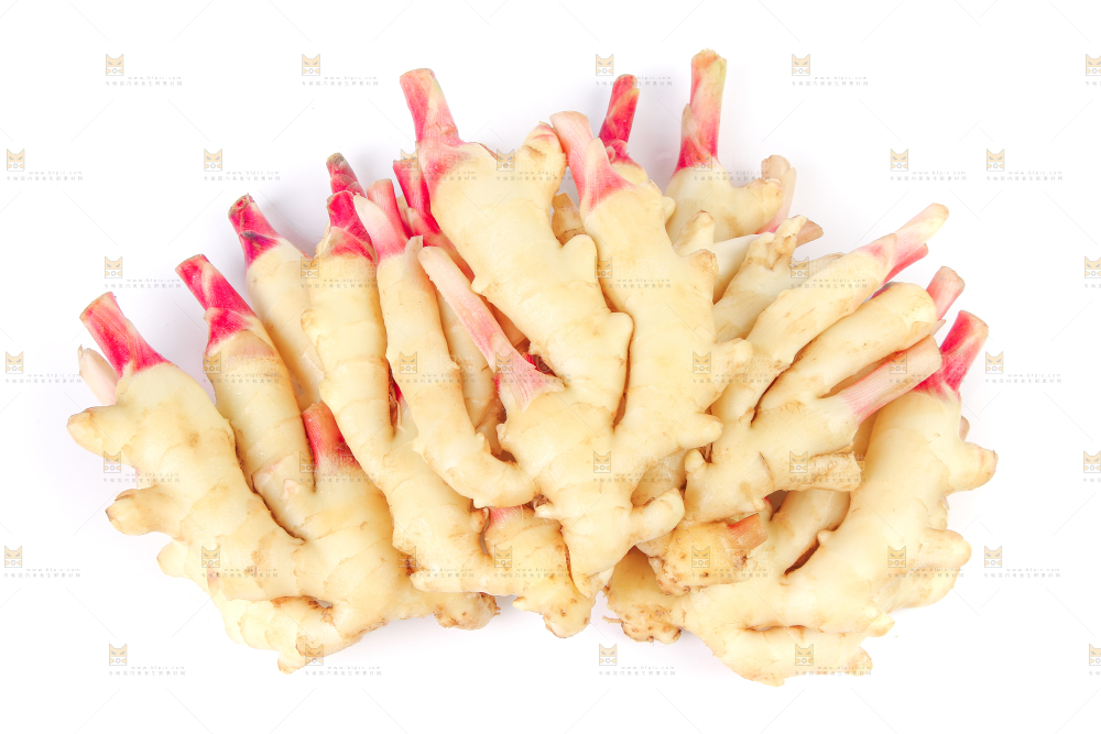 白底上放着一堆嫩姜芽