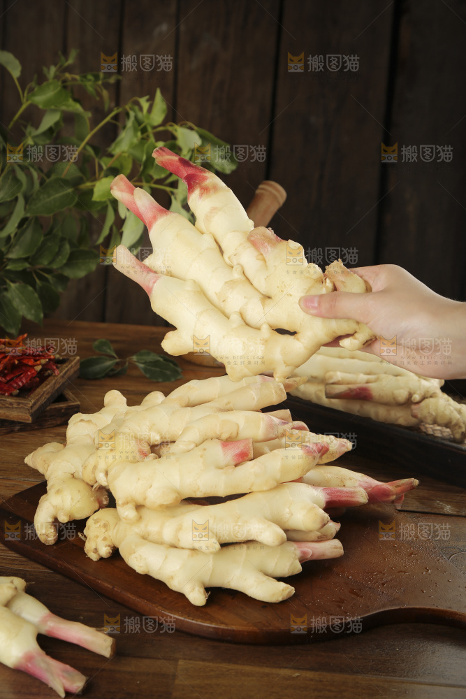 手上拿着的红芽姜