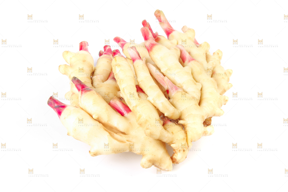 白底上放着一堆嫩姜芽