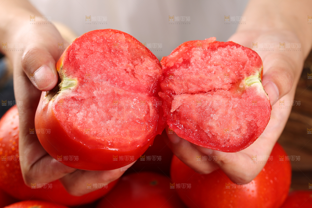 沙瓤西红柿
