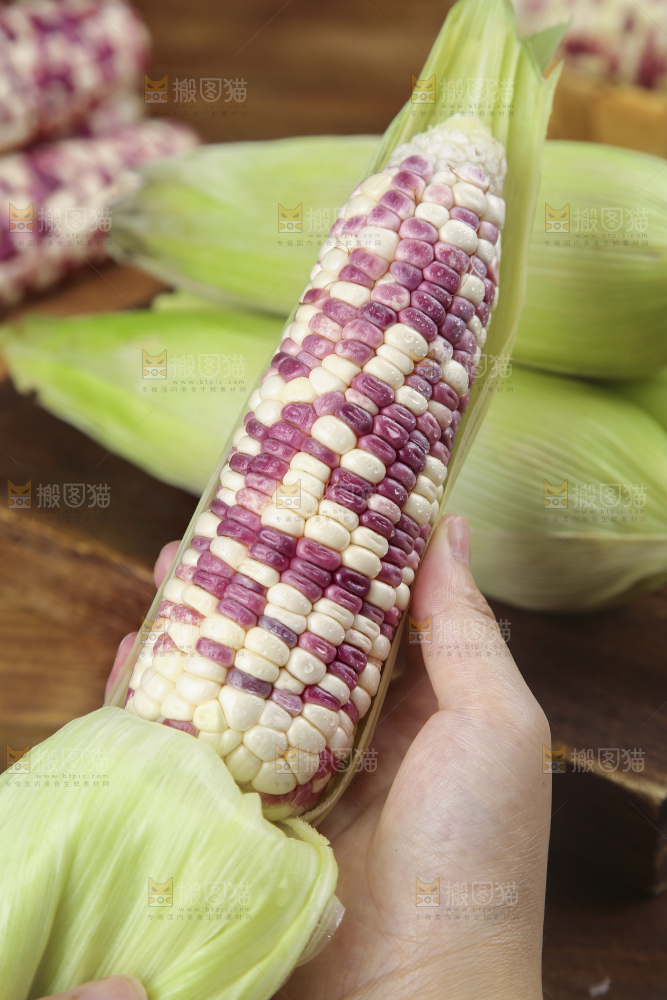 手上拿着花糯玉米