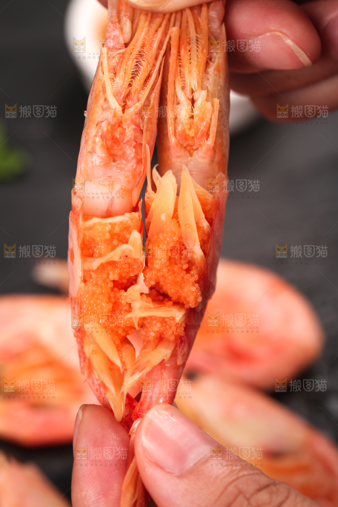 手上拿着北极甜虾