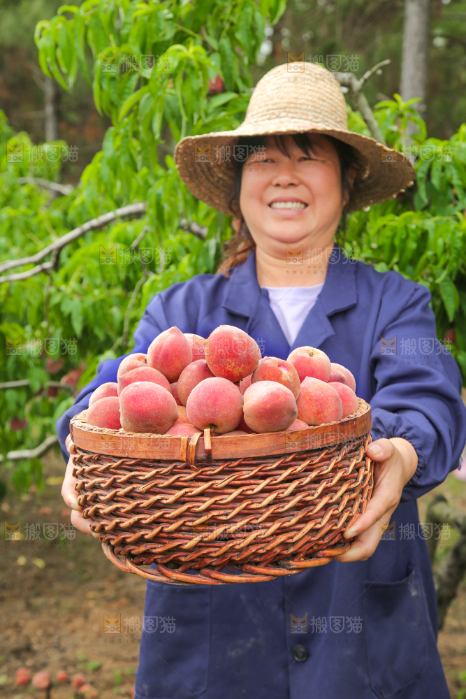 女人手上抱着一筐胭脂红桃子